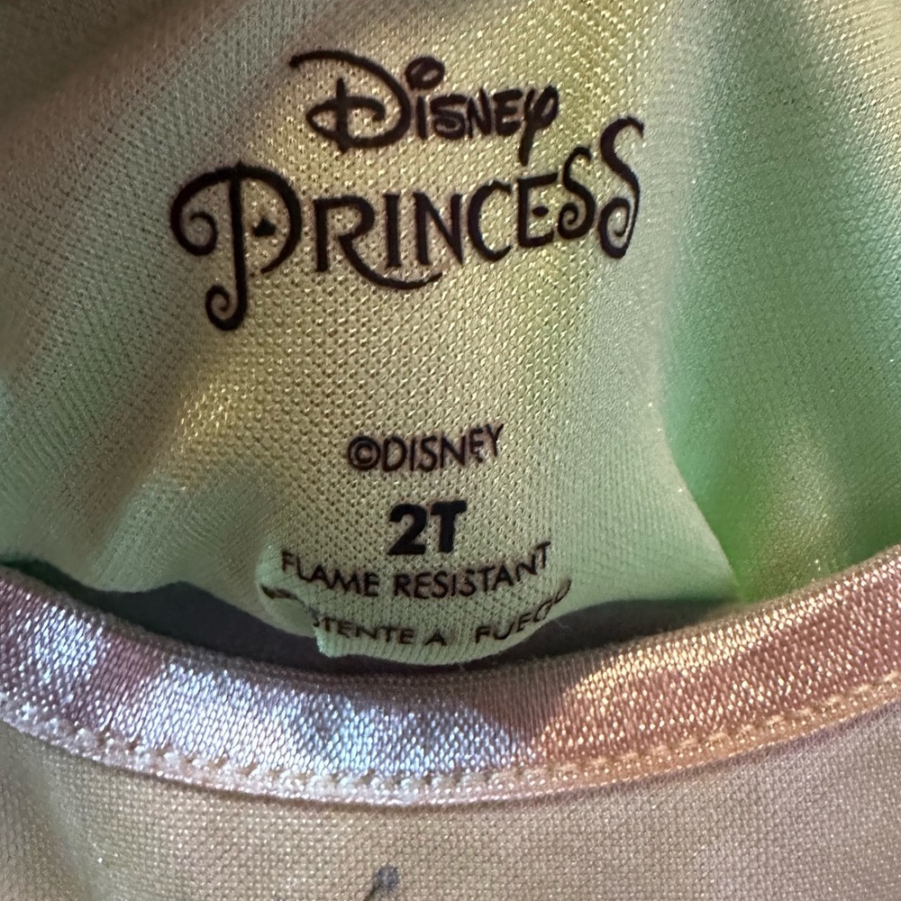 Disney Princess Tiana Shimmering Gold and Green Dress
